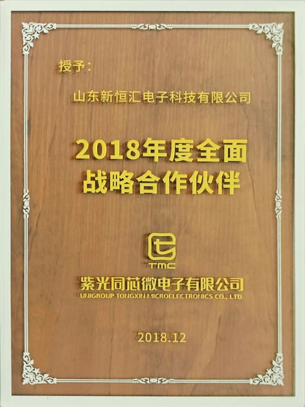 Comprehensive Strategic Partner