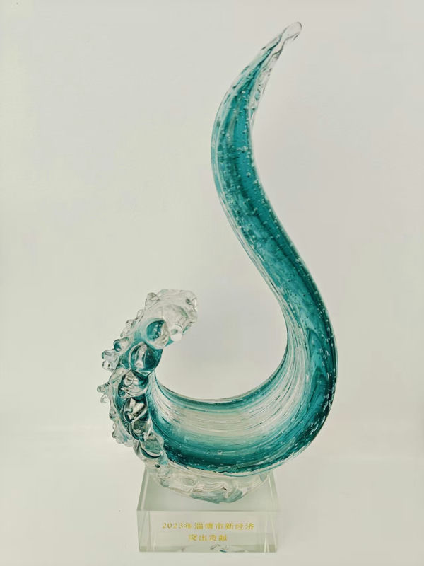 Outstanding Contribution to the New Economy of Zibo